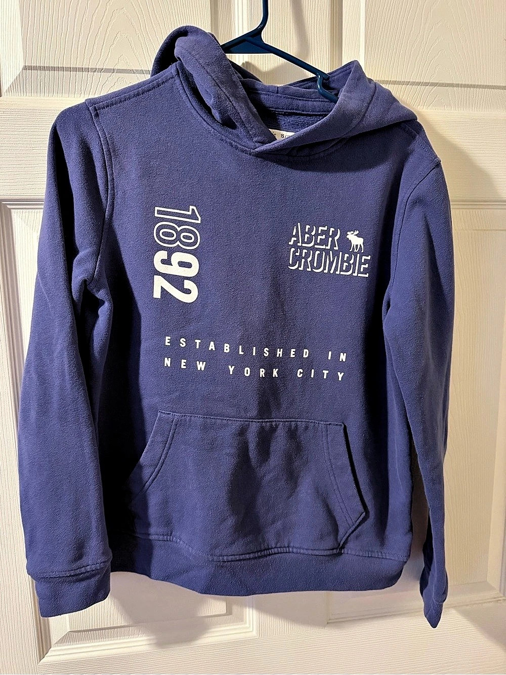Abercrombie & Fitch 1892 New York City Graphic Hoodie Purple